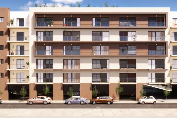 exterior,palmar